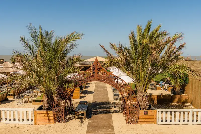 Palmbomen en de bogen aan de ingang van het strand